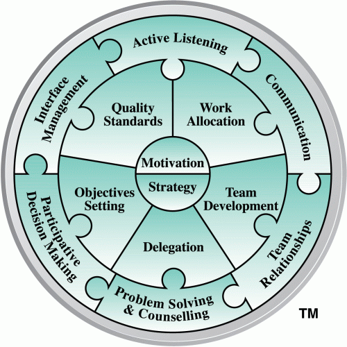 Margerison-McCann Linking Skills Model